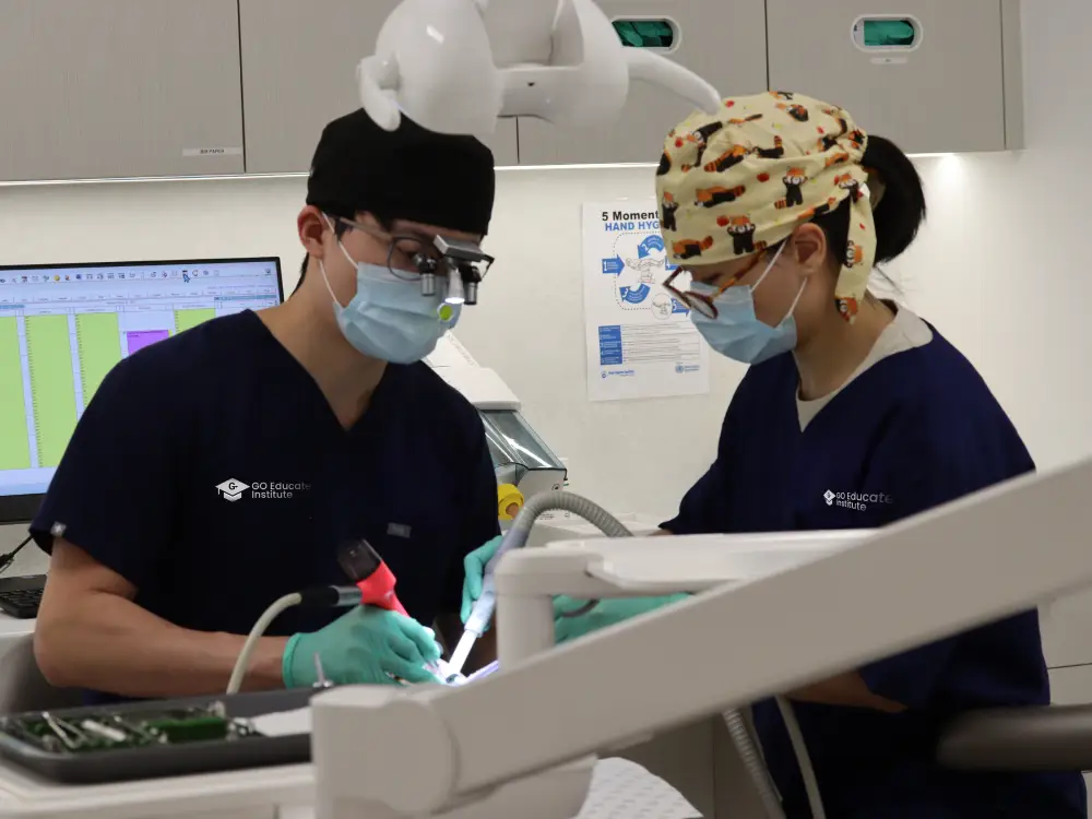 Pathways After Completing RPL for Certificate IV